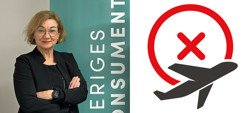 collage med bild av Johanna Hållén och ett flygplan